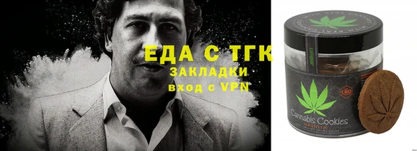 spice Алзамай