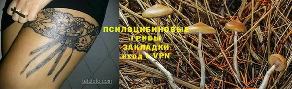 spice Алзамай