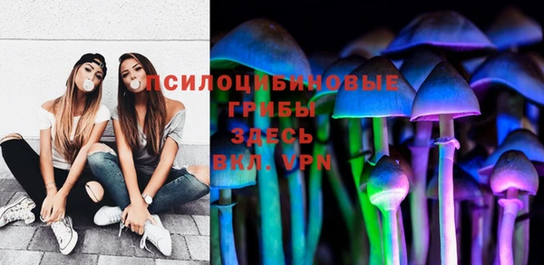сатива Приозерск