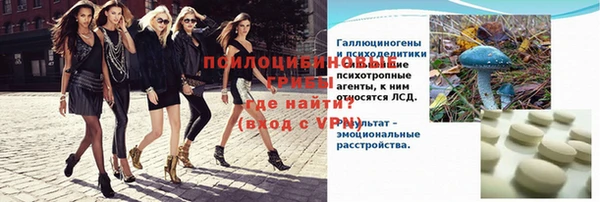 spice Алзамай
